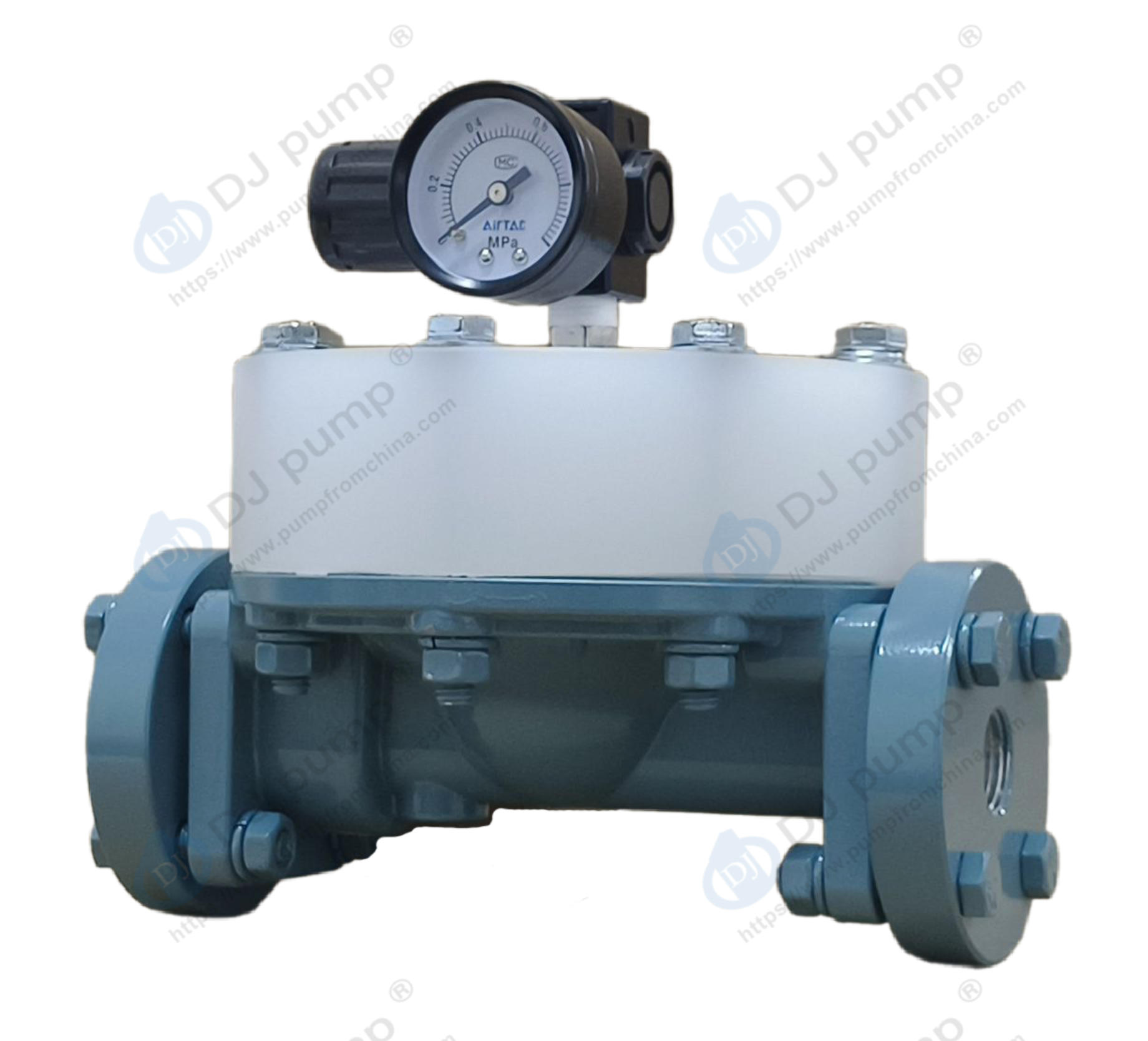 DA Series Manual Pulsation Dampener