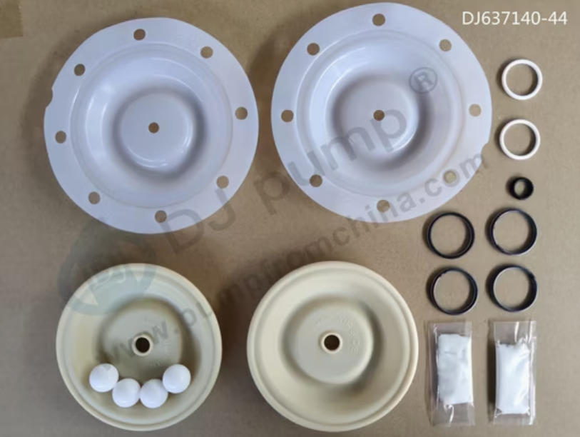 AODD Pump Repair Kit