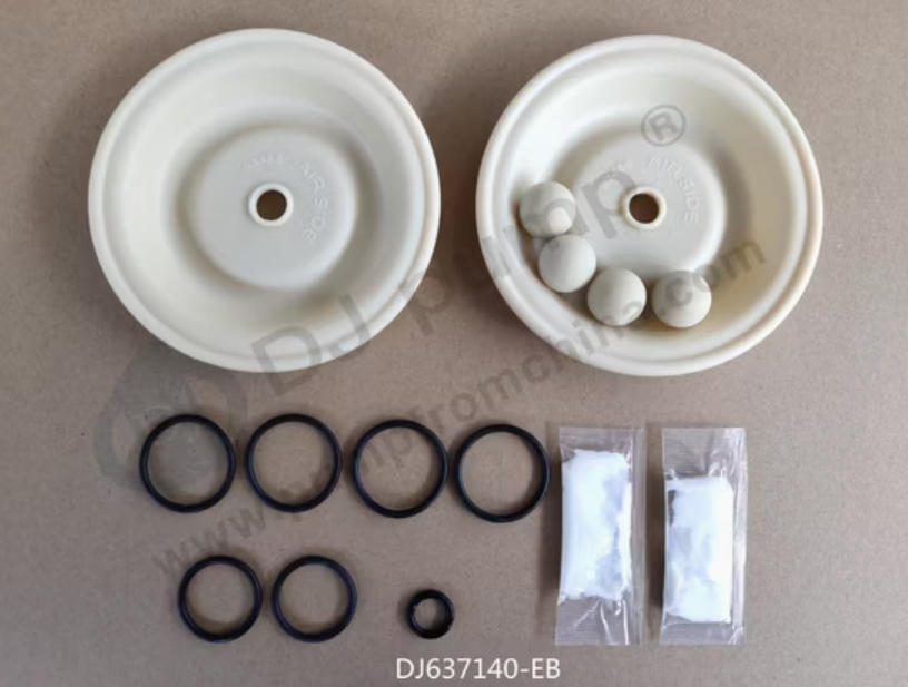 AODD Pump Repair Kit