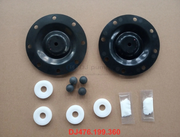 AODD Pump Repair Kit