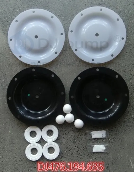 AODD Pump Repair Kit