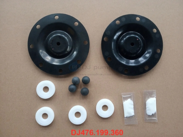 AODD Pump Repair Kit